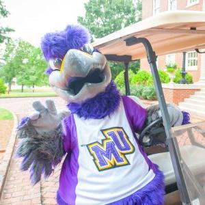 Freddie the Falcon on a golf cart